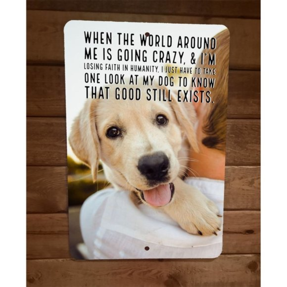 When The World is Going Crazy One Look at My Dog 8x12 Metal Wall Animal Sign
